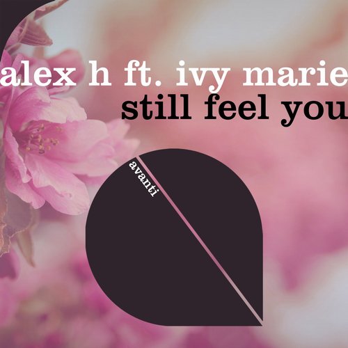 Alex H - Still Feel You [AVANTI6460]